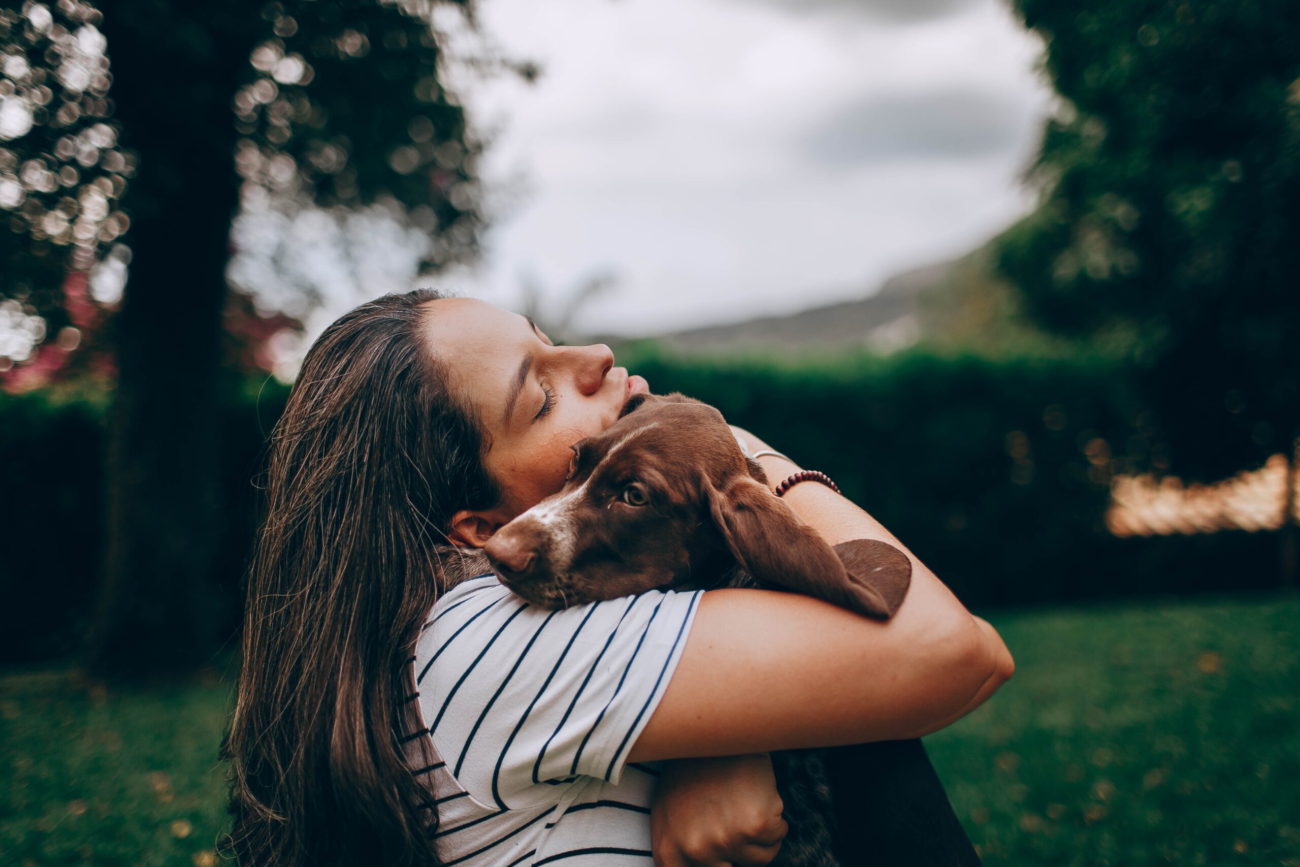 Train your dog to take a hug