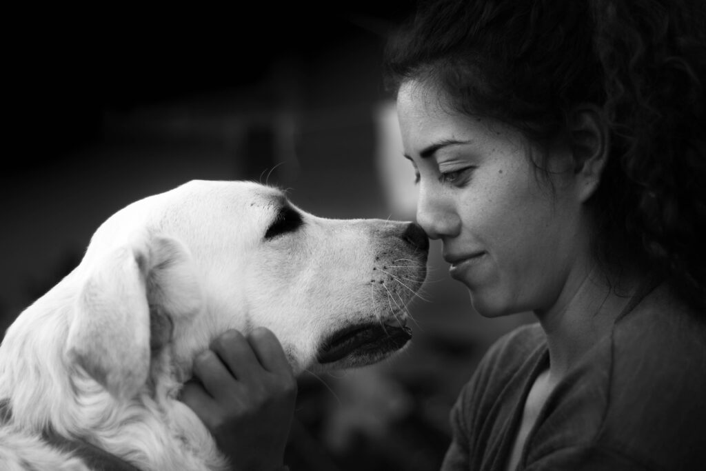 Dog Eye Contact | Bonding With Your Dog Using Eye Contact