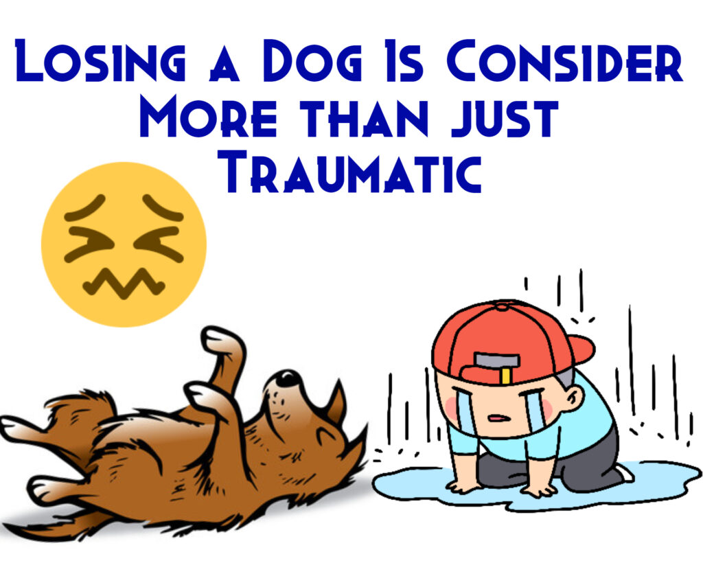 Losing a Dog Is More Than Just a Traumatic