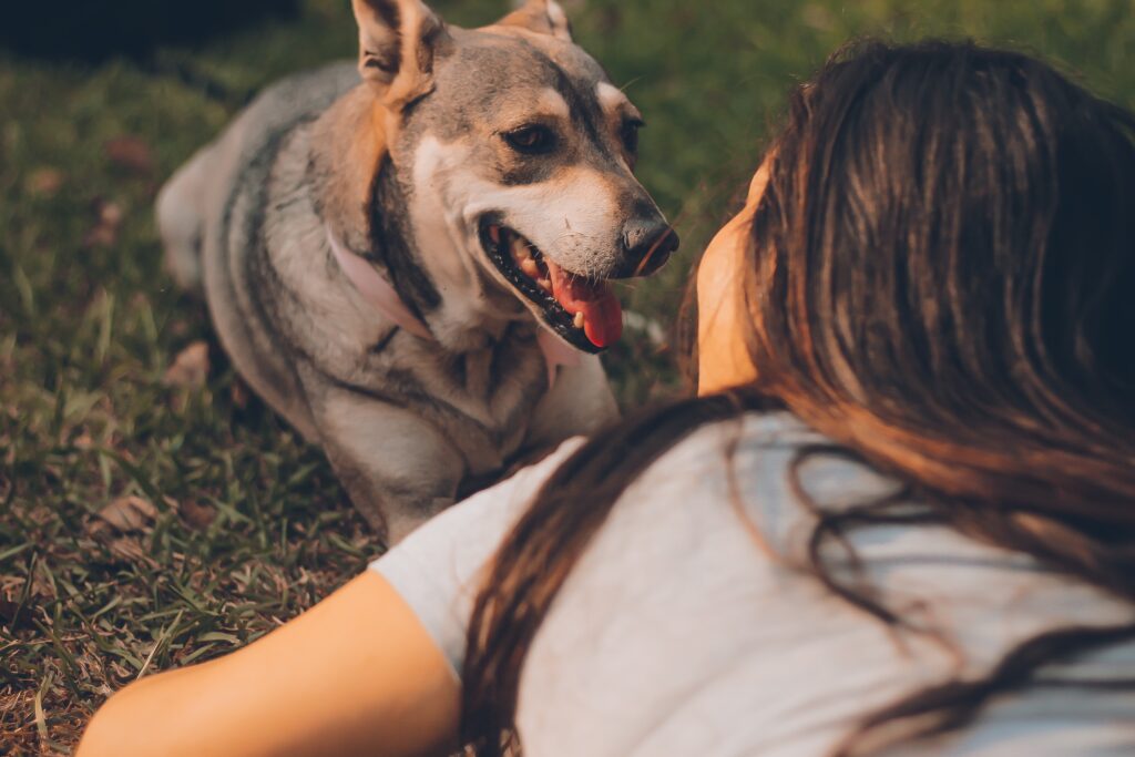 My dog ​​eats soap: what to do?
