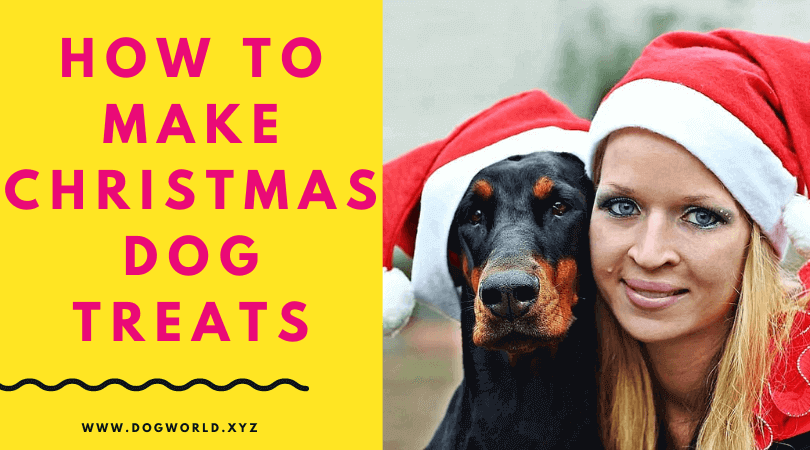dog with food allergies,allergy to dog food,christmas dog food